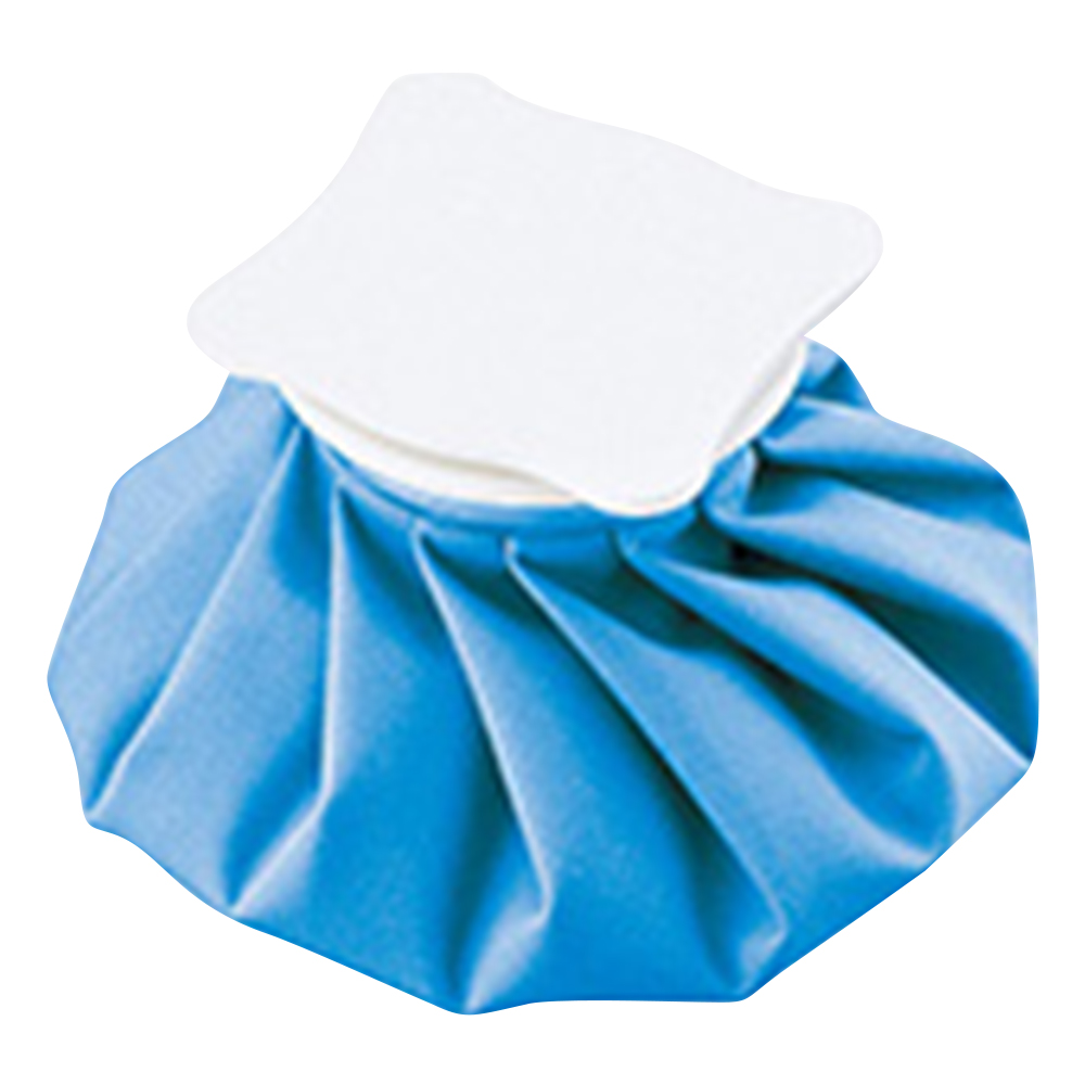 ナビアイスバッグ ブルー S