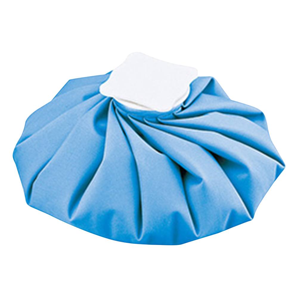 ナビアイスバッグ ブルー L