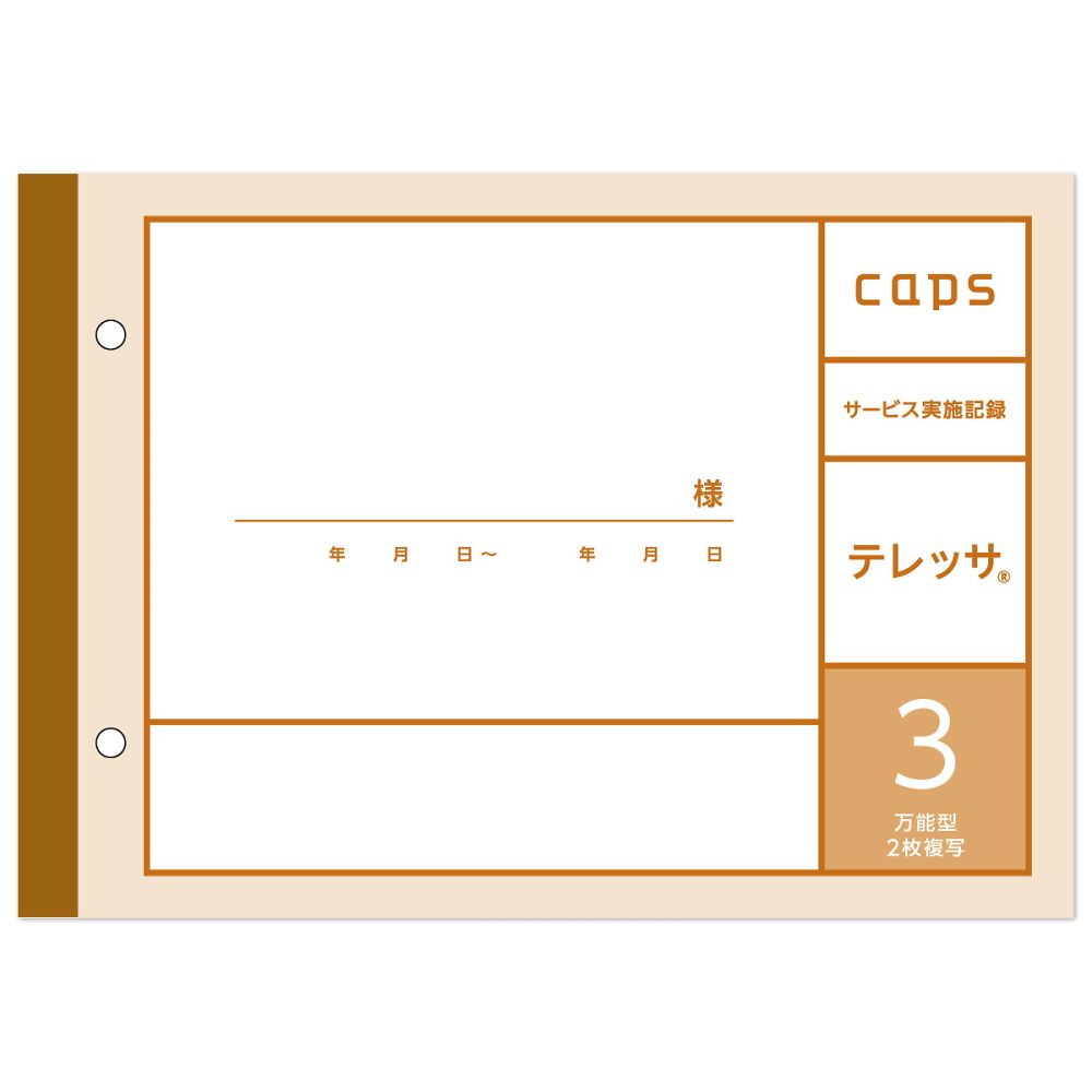 看護・介護記録用紙 テレッサ3 サービス実施記録 A5 1セット（50組×20冊入） M07124