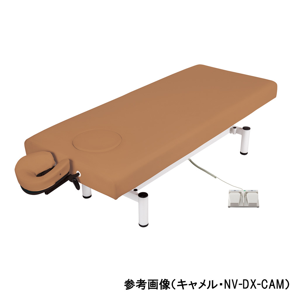 電動昇降ベッド キャメル FV-216N-CAM-70