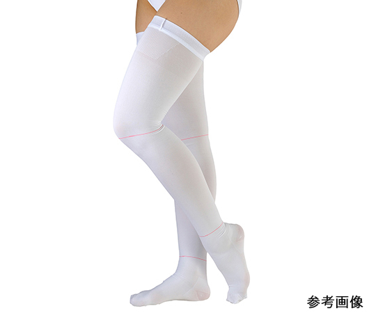 アンシルク・プロJ ストッキング 両足 L 17432