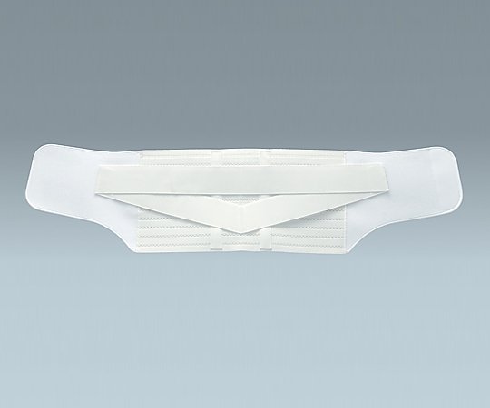 サクロワイド・DX 3L 17831