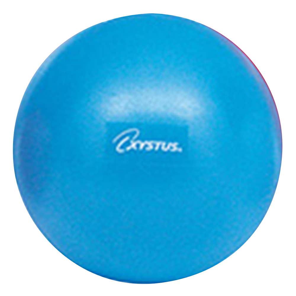 ピラティスボール 青 φ200mm H9345B