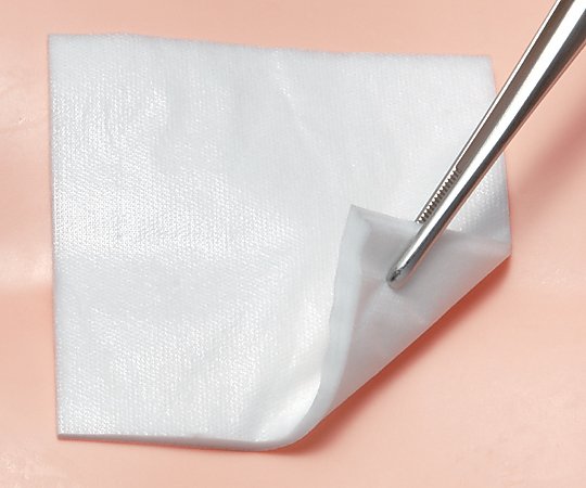 デルマエイド 100×100mm 1箱（100枚入） 11984