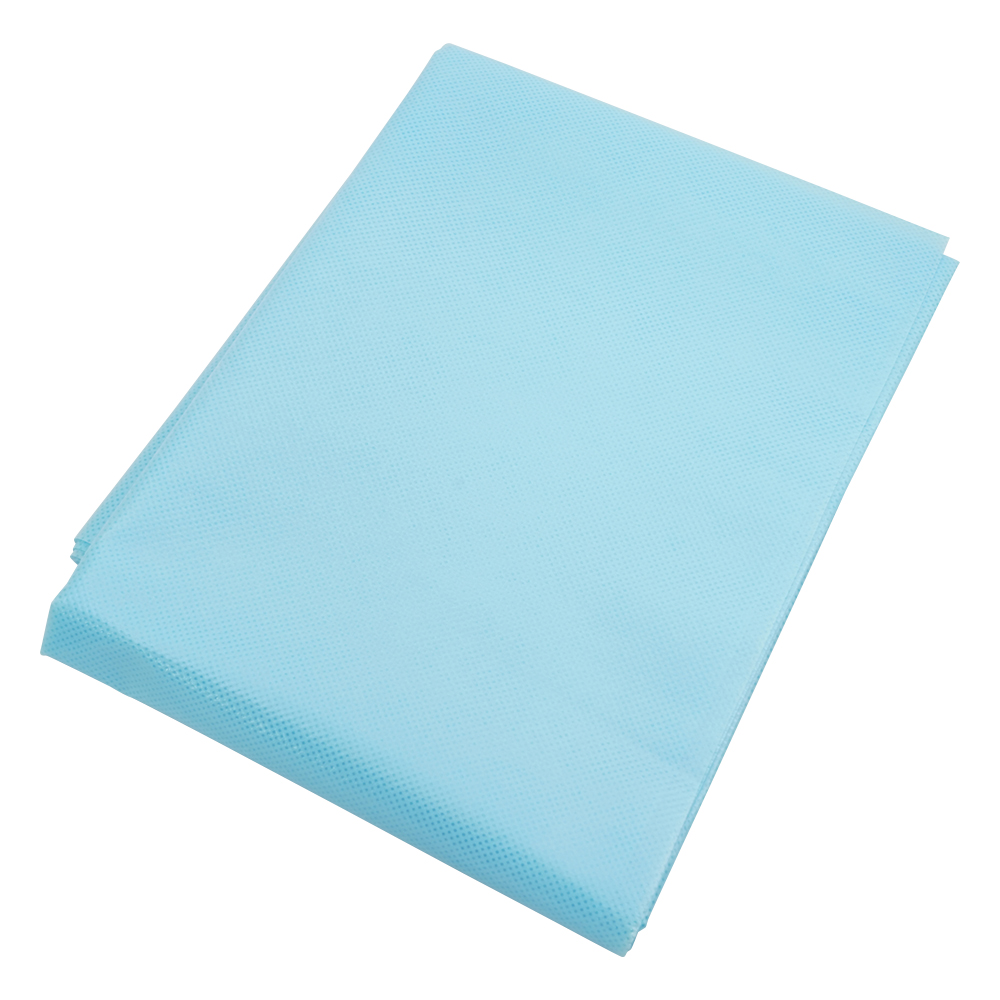 防滑シーツ 1000×1500mm 1袋（10枚入） E5-1015B