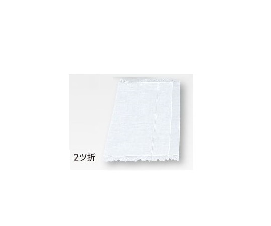 ガーゼ 2ツ折 300×300mm 1袋（300枚入） 226358