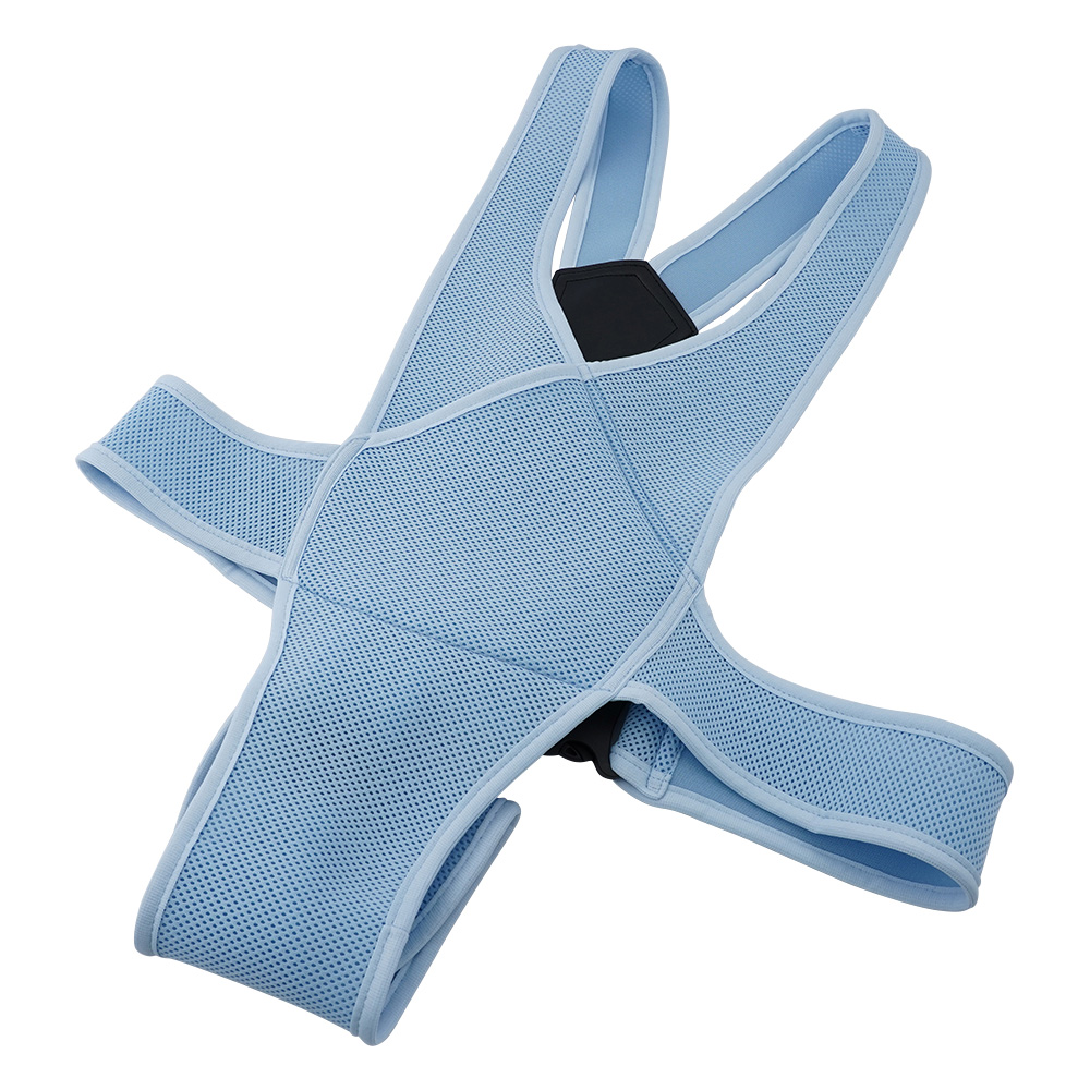 車椅子ベルト　Lサイズ　ブルー 4010