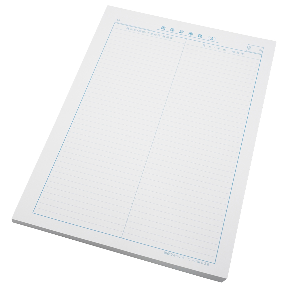 国保カルテ A4サイズ 1袋（100枚入） 3号紙 375