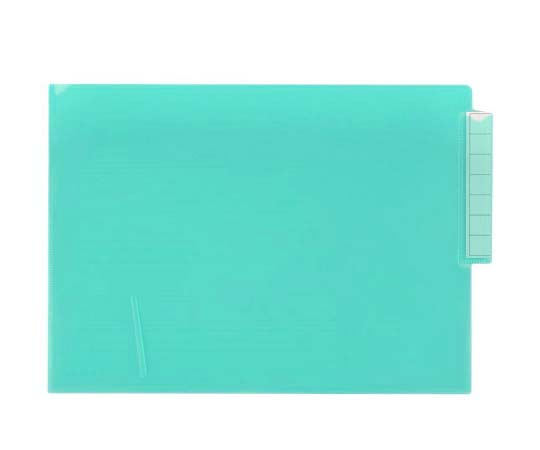 カラーカルテフォルダー（シングル） クリスタルグリーン 1箱（50枚入） HK708-19
