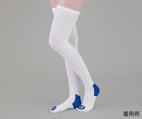 弾性ストッキング（滑り止め付） ストッキング L