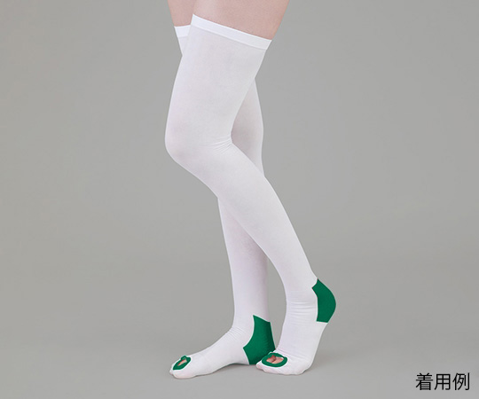 弾性ストッキング（滑り止め付） ストッキング LL