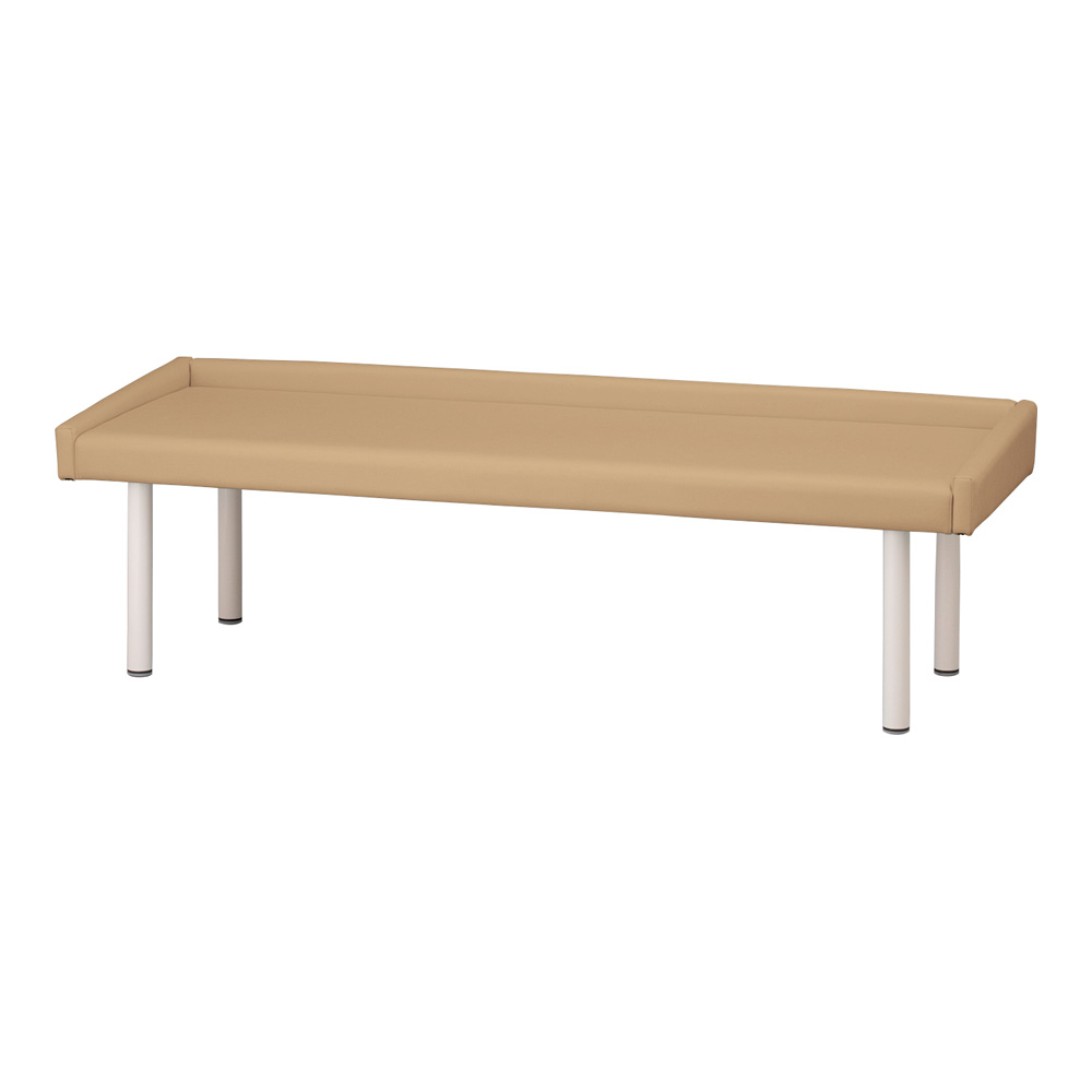 ガード付き診察台 TE-L60G-IV