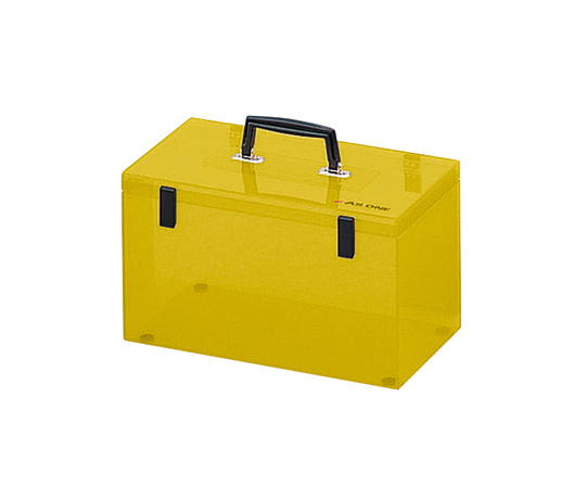 ニューキャリーボックス （PET製） 2PT