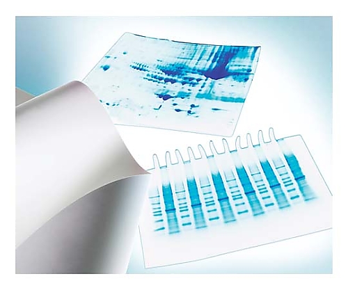 Immobilon-P PVDF 0.45um 26.5cmx3.75m roll 1/Pk 1PK IPVH00010