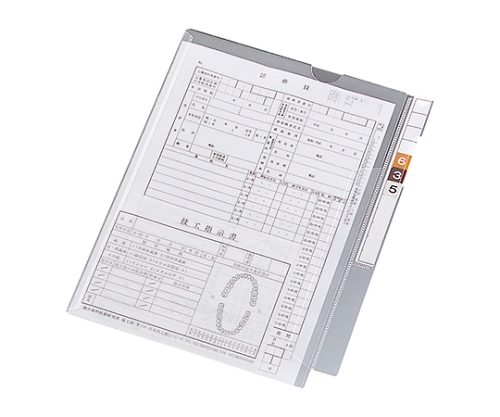 カルテフォルダー（フラップ付）シングル＜縦型＞ 1箱（100枚入） HK2001