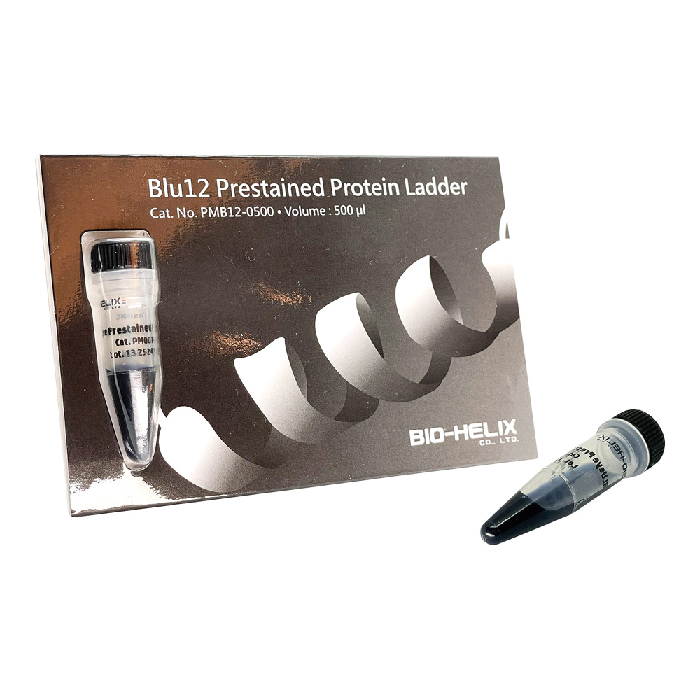 BLUeye Prestained Protein Ladder プロテインラダーマーカー PMB12-0500