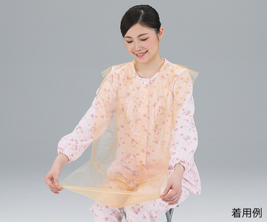 ポケロン 10枚 007-70138