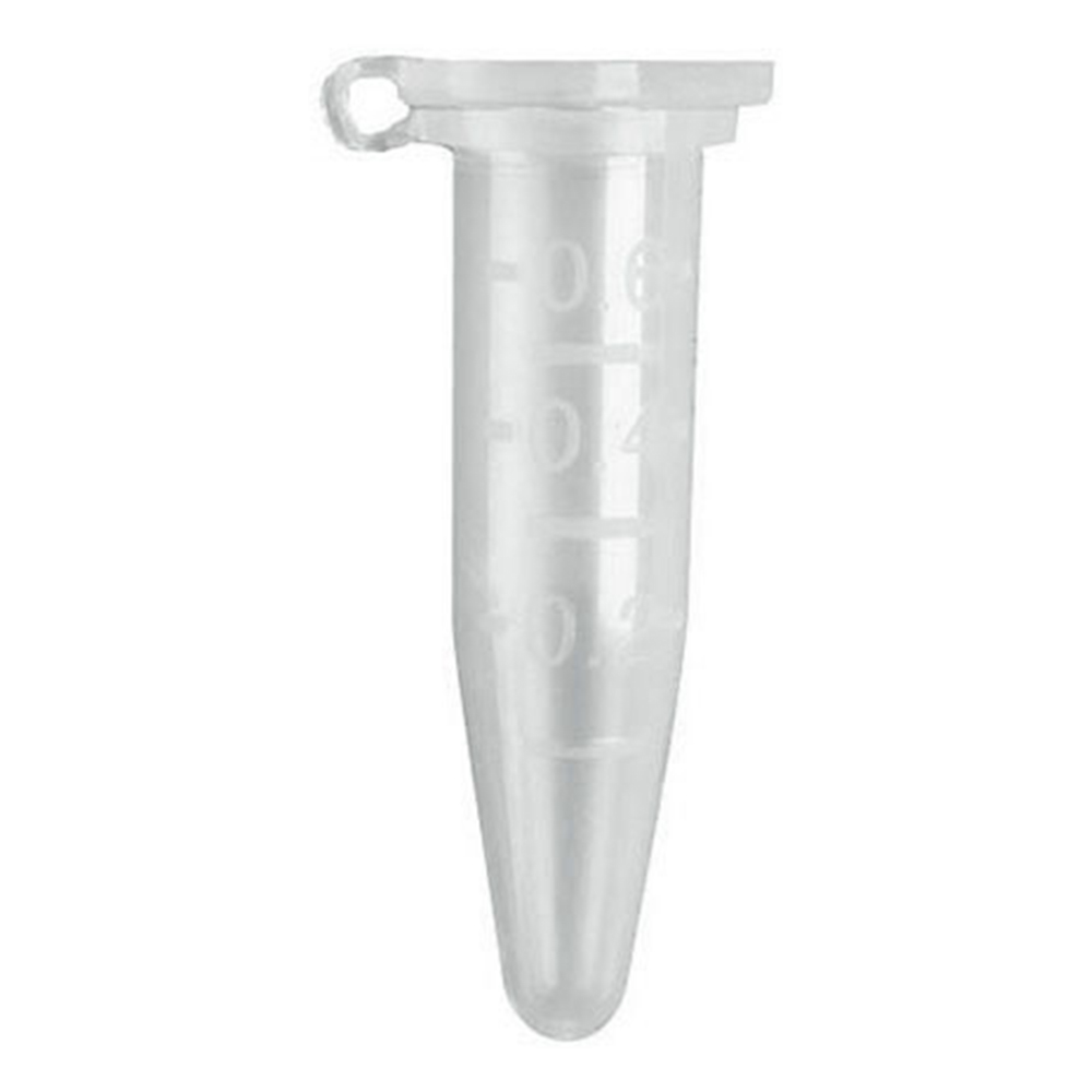 QSP マイクロチューブ 0.6mL 目盛付 クリアー 30.4mm バルク（1000本入） クリアー 502-GRD-Q