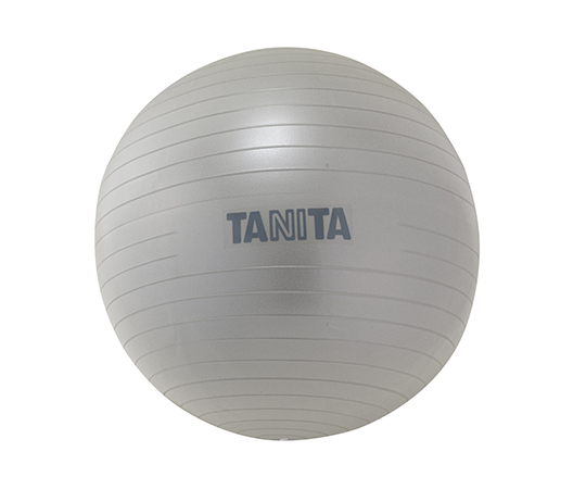 ジムボール TS-962-SV