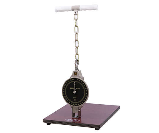 スタンダード型背筋力計300kg QS