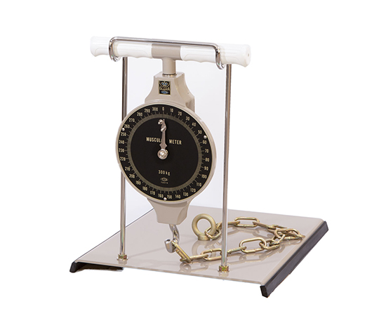 L型スタンド付背筋力計300kg QM