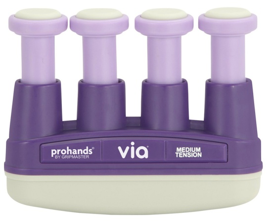 ハンドエクササイザー 6.0LB（2.7kg） パープル VM-13004