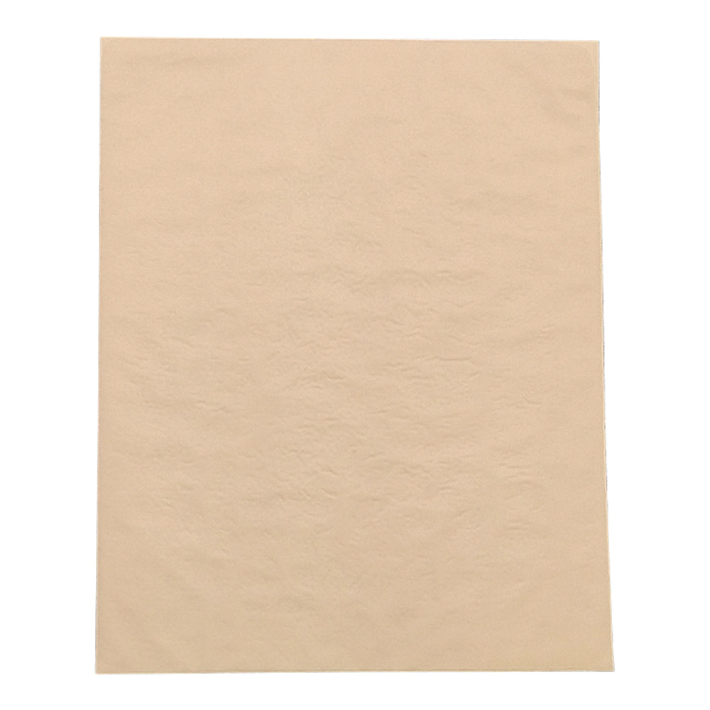 プラスモイスト　QA4A　10枚入