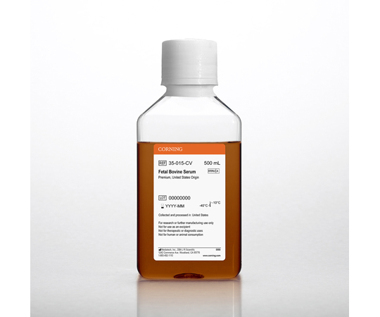 US産 牛胎児血清 500mL 35-015-CV