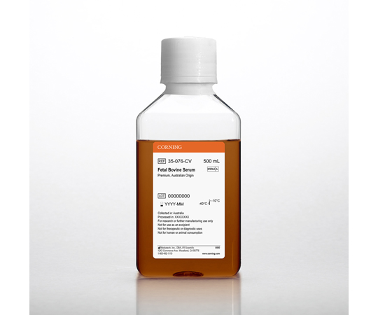 オーストラリア産 牛胎児血清 500mL 35-076-CV