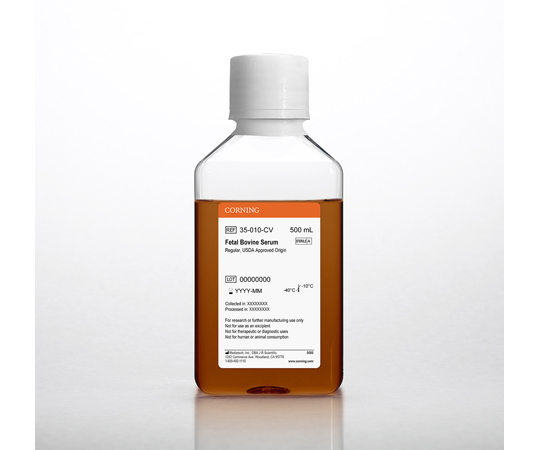 USDA認定国由来 牛胎児血清 500mL 35-010-CV