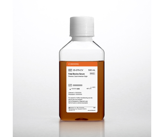 南米産 牛胎児血清 500mL 35-079-CV