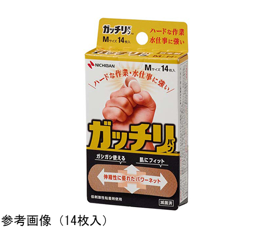 ガッチリバン 1箱(10枚入) GB10L