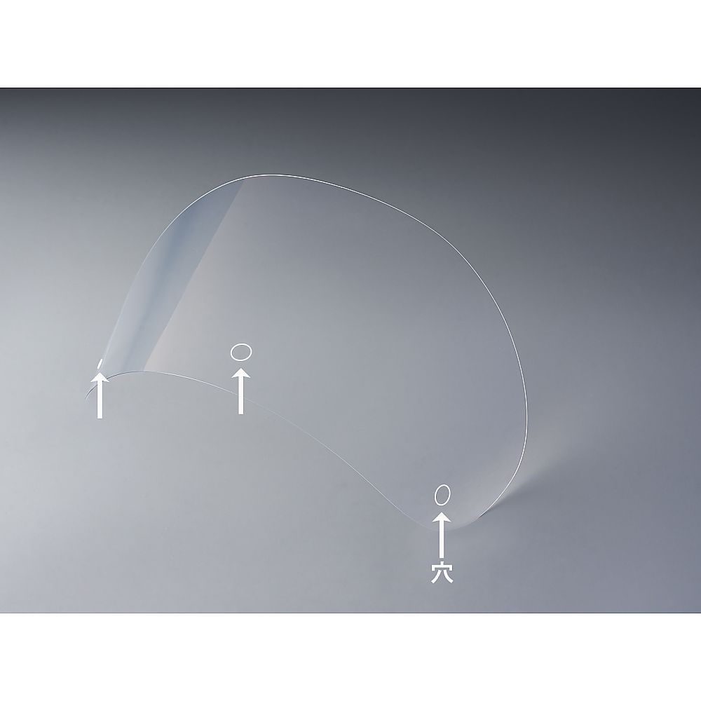 モスアイ構造穴通し仕様シールド（FZ5501対応） 10枚入 923002 FREE