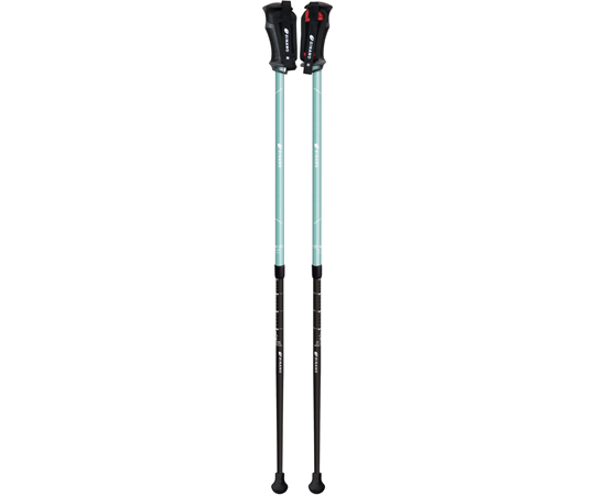 レビータネクスト スカイ 1組（2本入） 652134