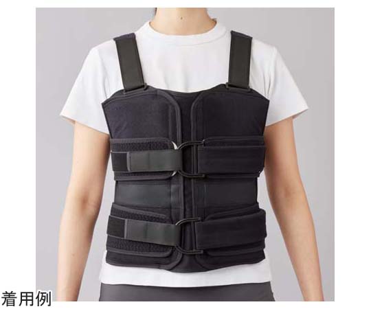 ハイブリッドシーネ スパイン L 198503