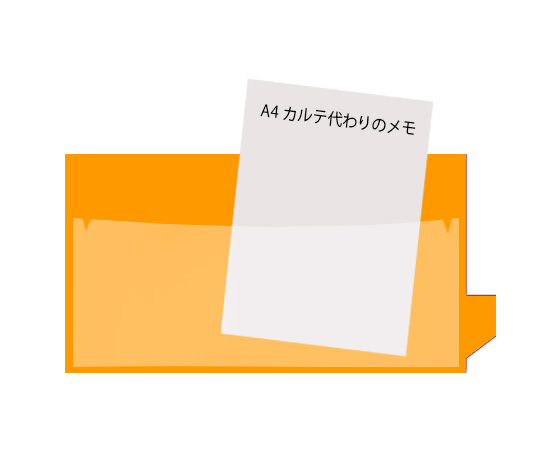 アリバイガイド　AG-A4Ｌ05　橙　10入