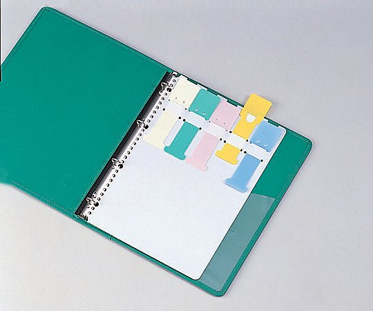 カラーシグナル A4、2・4・30穴 10枚入 SK-455