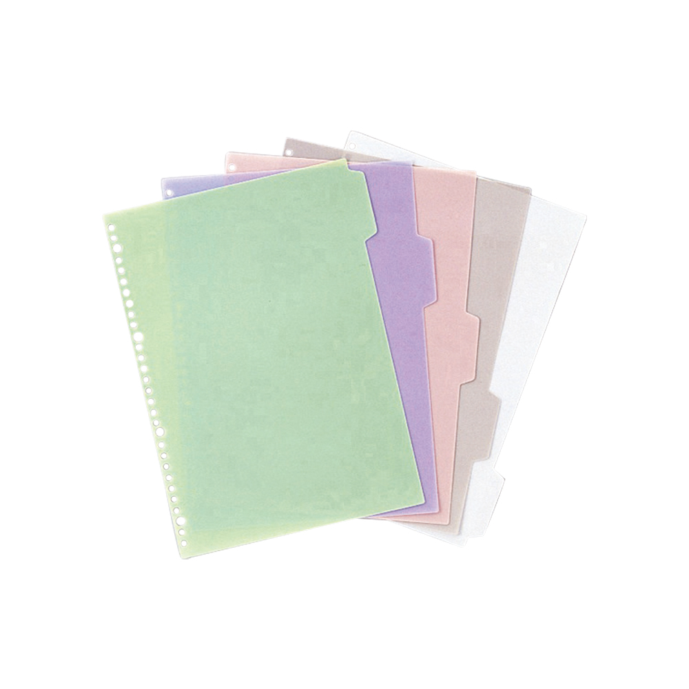カラーインデックス A4、2・4・30穴 1袋（5枚×10組入） SK-460
