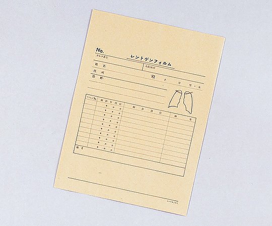 レントゲン袋 500枚入 262大角