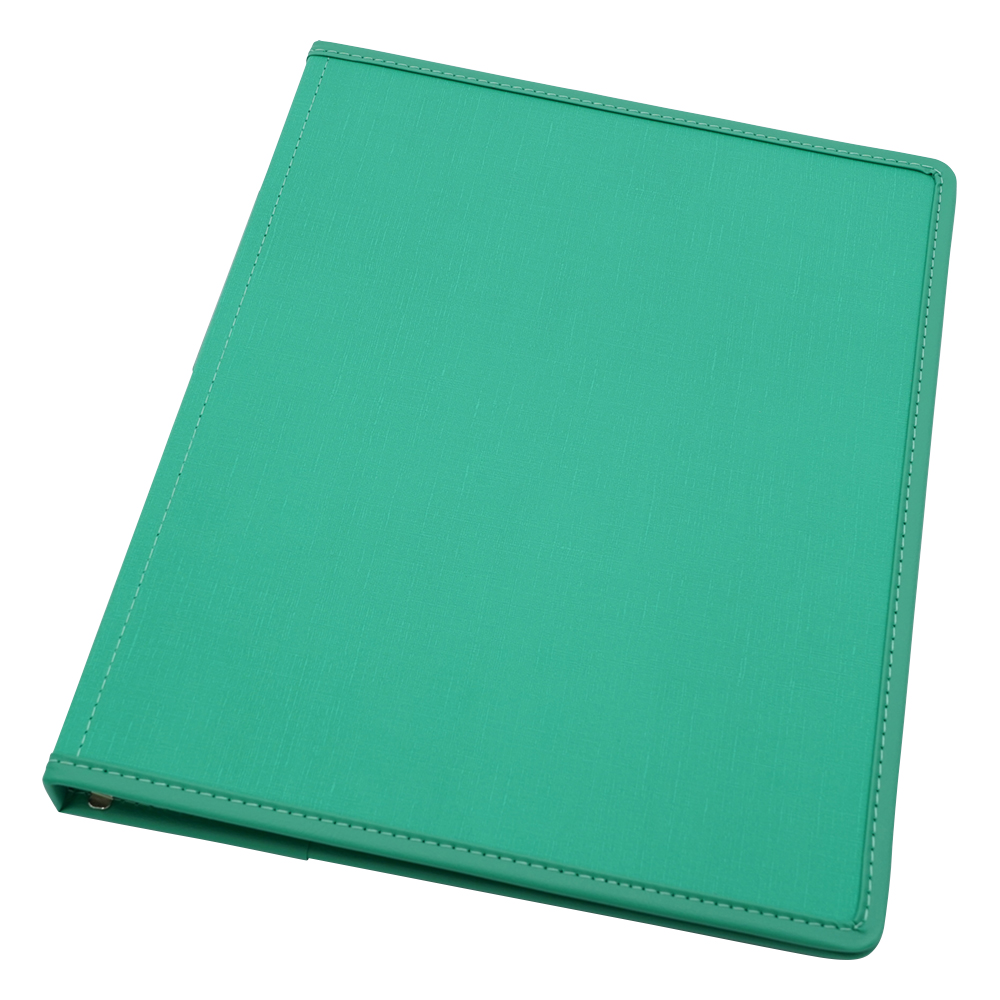 カルテブック X型・30穴 グリーン 背幅20mm NS-420-30GR