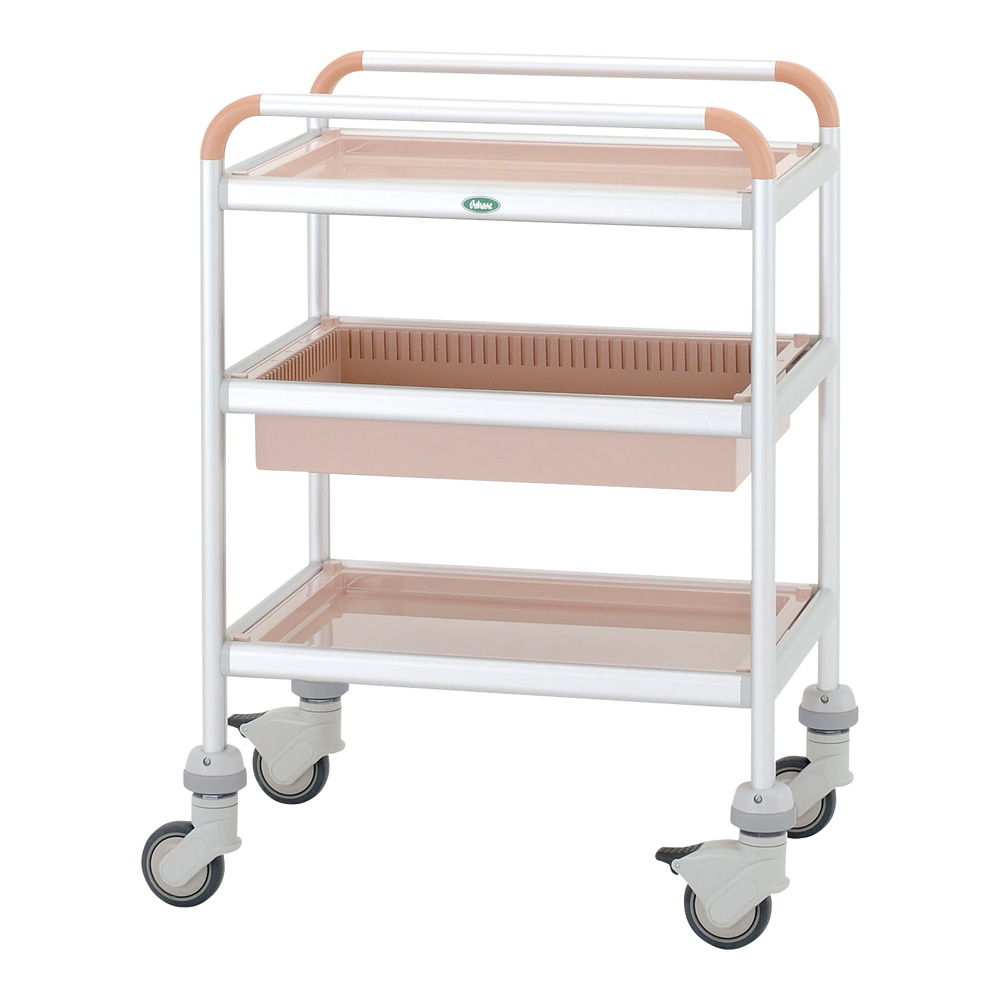 ミニカート 浅型2個 深型1個 C64M-03PE