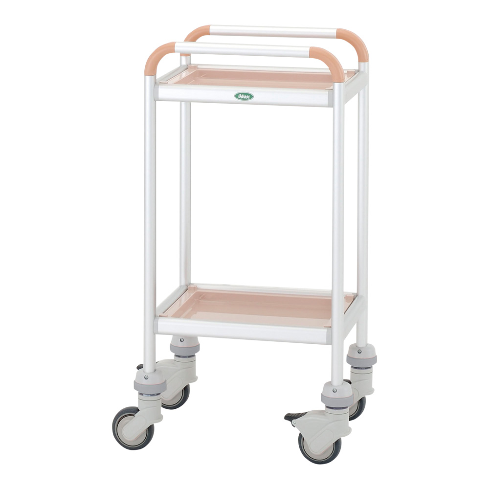 ミニカート 浅型2個 C43M-01PE