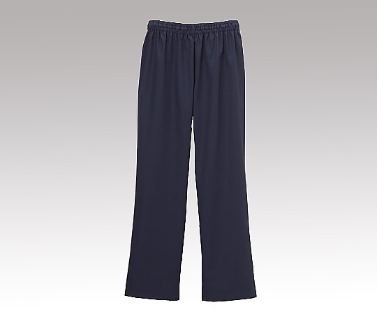 ストレートパンツＤＳ－３００１ブルーＬ