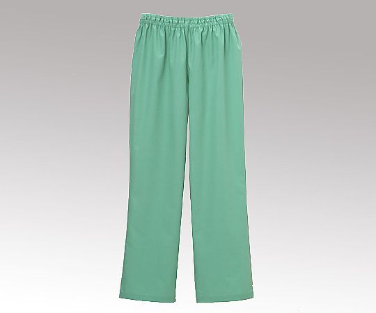 ストレートパンツＤＳ－３００１　緑ＬＬ