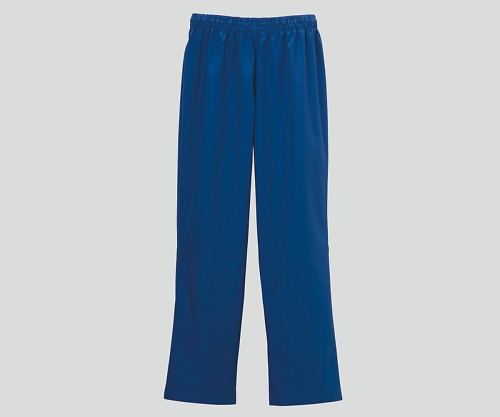 ストレートパンツＤＳ－３００１ＢＬ　Ｌ