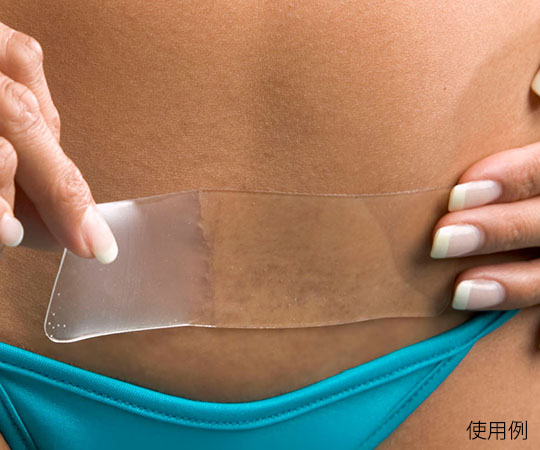 エピダーム　エピＣストリップ　１枚入　ク