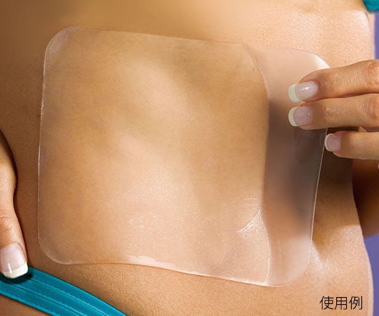 エピダーム　エピスタンダード　１枚入　ク