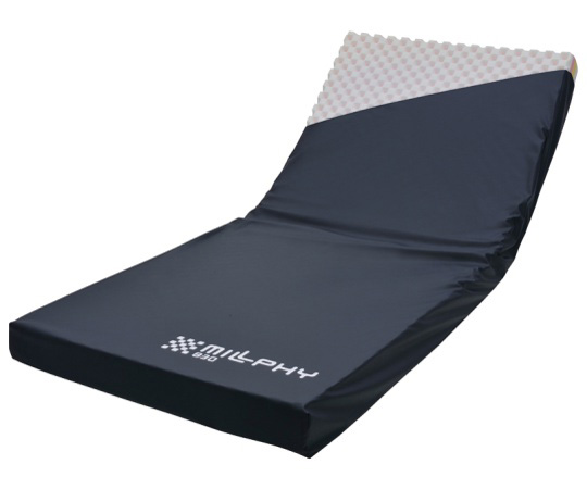 ＣＲ－３６２　ミルフィ　８３０