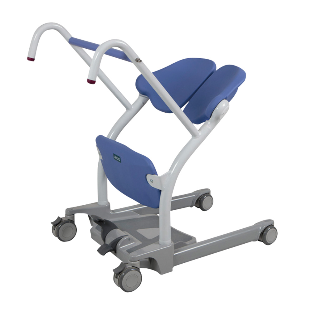 ＮＴＢ３０００－ＪＰ　サラステディー