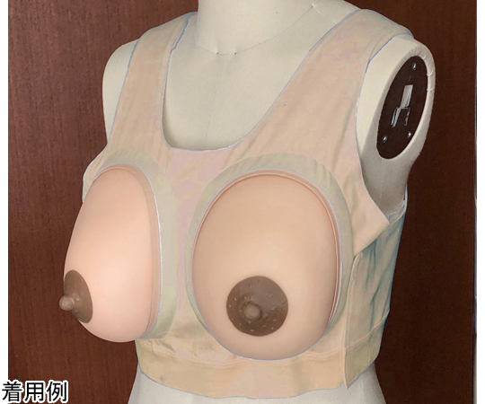 産褥乳房モデル装着型　1組2個入 BMS-12